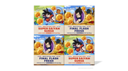 Dragon Ball Z 4-Pack - Collector Outdoor Lineup