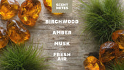 Birchwood Breeze - Essential Fresh Lather