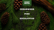 Soothing Post Shave Pine Tar - Cabin Ready