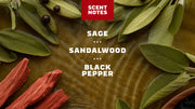 Sandalwood Summit Deodorant - Simple Clean Guard