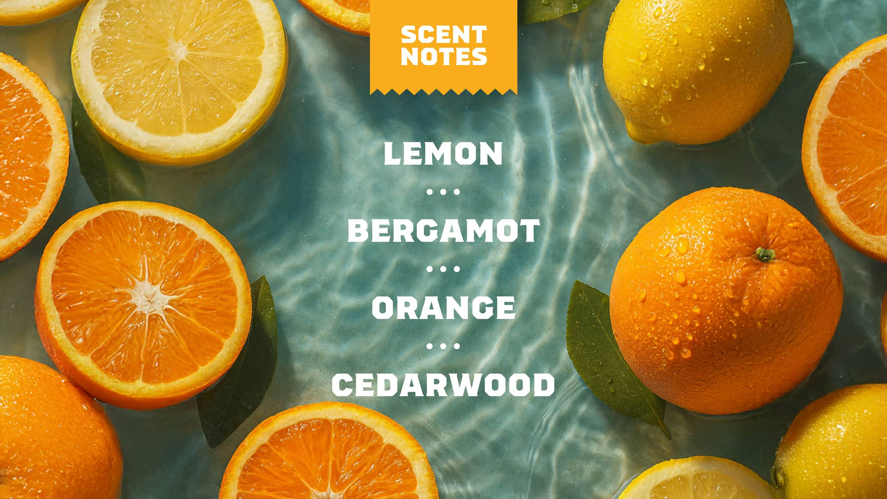 Summer Citrus Deodorant - Essential Clean Glide