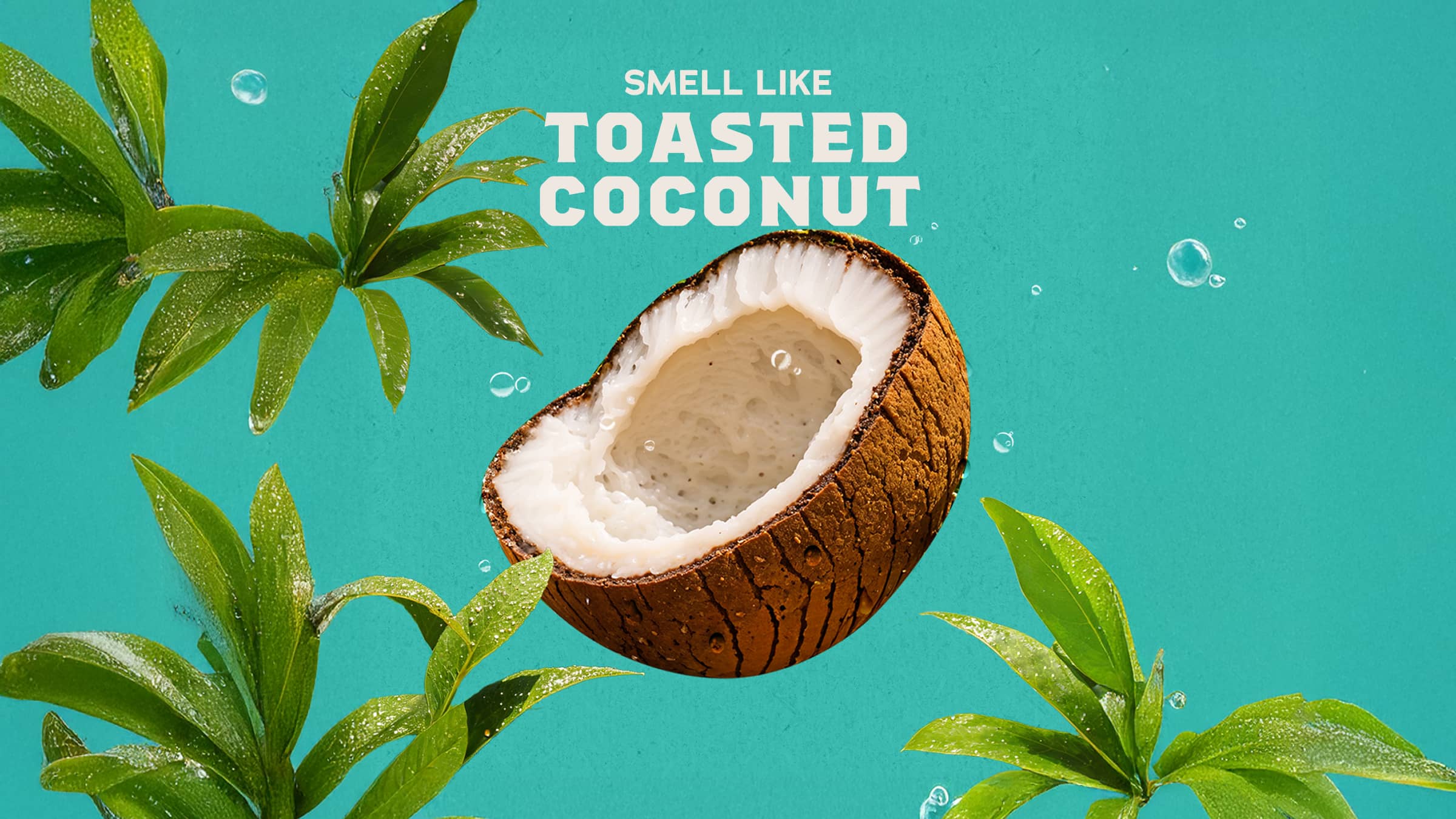 14 oz Coconut Castaway Body Wash - Fresh Clean