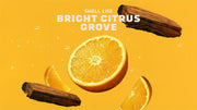 Summer Citrus Deodorant - Essential Clean Glide